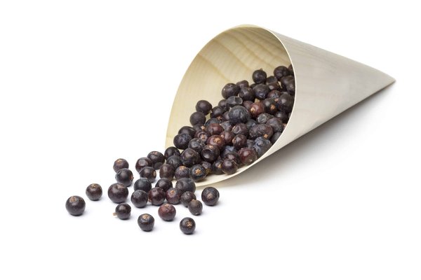 Comment choisir le sac parfait pour chaque occasion ?